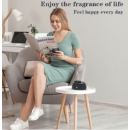 Dispenser odorizant profesional 30 m3