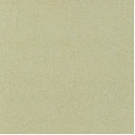 Covor pvc lentex PIONEER (2m)