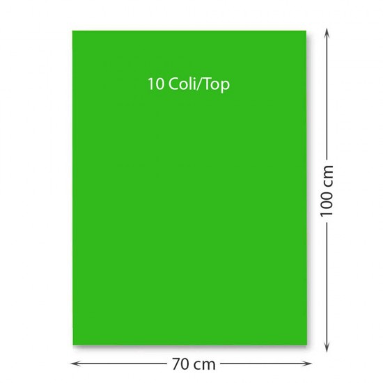 Carton color 70x100 cm, 220g/mp, Favini x 10coli-37 verde Carton color 70x100 cm, 220g/mp, Favini x 10coli-37 verde