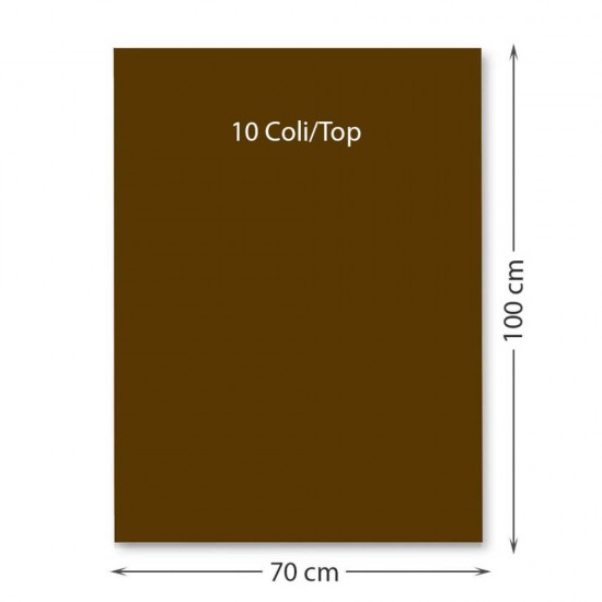 Carton color 70x100 cm, 220g/mp, Favini x 10coli-07 maro inchis Carton color 70x100 cm, 220g/mp, Favini x 10coli-07 maro inchis