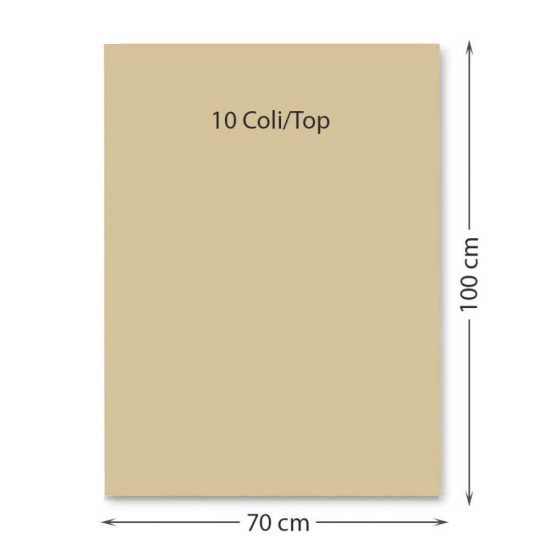 Carton color 70x100 cm, 220g/mp, Favini x 10coli-12 BEJ Carton color 70x100 cm, 220g/mp, Favini x 10coli-12 BEJ