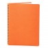Notes 360, piele, 16x22cm, autodatat, portocaliu