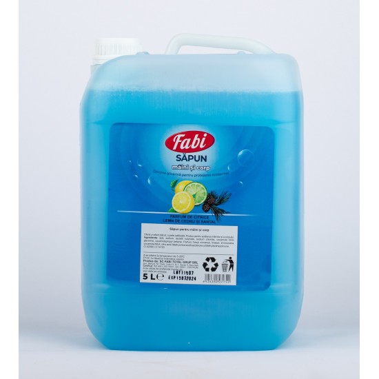 Sapun lichid albastru parfumat, Fabi, canistra 5L