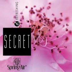Rezerva odorizant prin nano-atomizare, Secret - Spring Air, 500ml Rezerva odorizant prin nano-atomizare, Secret - Spring Air, 500ml