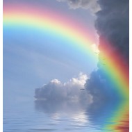 Rezerva odorizant prin nano-atomizare, Serenity - Spring Air, 500ml Rezerva odorizant prin nano-atomizare, Serenity - Spring Air, 500ml