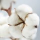 SANO MAXIMA PARFUMANT TESATURI COTTON 350ml SANO MAXIMA PARFUMANT TESATURI COTTON 350ml