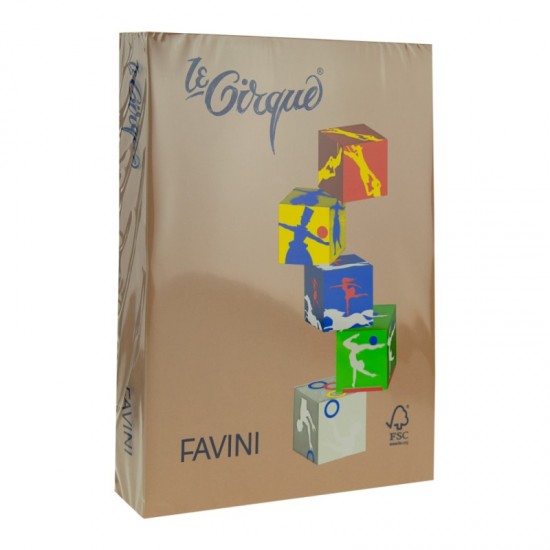 Carton color 160g/mp a4 maro piele Favini-300			