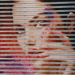 Covoras aluminiu AluLogoMat Mini, profil 17 mm,  exterior/interior personalizat Covoras aluminiu AluLogoMat Mini, profil 17 mm,  exterior/interior personalizat