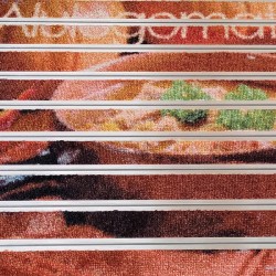 Covoras aluminiu AluLogoMat Compact, profil 10 mm,  exterior/interior personalizat Covoras aluminiu AluLogoMat Compact, profil 10 mm,  exterior/interior personalizat