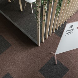 Mocheta dale maro-antracit First Forward cod 989 Mocheta dale maro-antracit First Forward cod 989