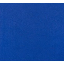 Mochetă exterior Park Albastru 800, înălțime fir 7.5 mm Mochetă exterior Park Albastru 800, înălțime fir 7.5 mm