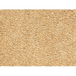 Mochetă Satino Royale Bej Crem 157 Mochetă Satino Royale Bej Crem 157