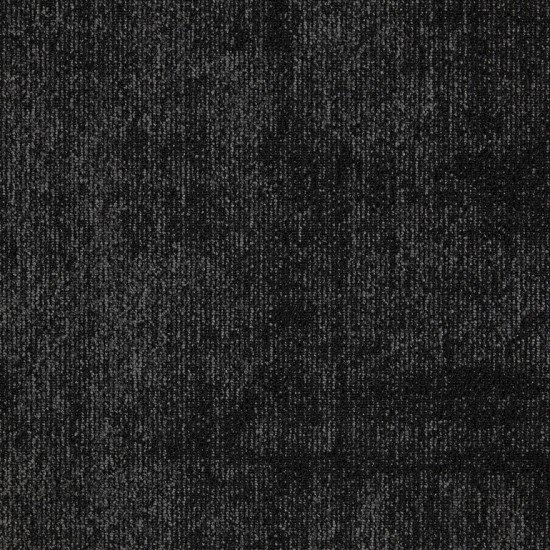 Mocheta trafic intens dale negru First Define cod 995 , fir buclat , înălțime 6.5 mm ,pentru interior Mocheta trafic intens dale negru First Define cod 995 , fir buclat , înălțime 6.5 mm ,pentru interior