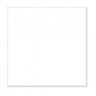 Servetele 33x33 cm, 2 straturi, albe, Le Carezze, Fato Servetele 33x33 cm, 2 straturi, albe, Le Carezze, Fato