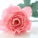 Hartie floristica