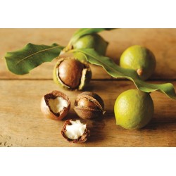 Keff săpun lichid pentru mâini Macadamia Oil 500 ml Keff săpun lichid pentru mâini Macadamia Oil 500 ml