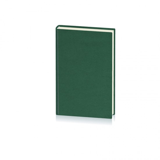 Agenda Domino, 14 x 20.5 cm, 192 pagini