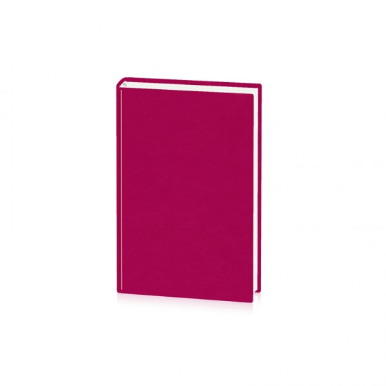 Agenda Domino, 14 x 20.5 cm, 192 pagini Agenda Domino, 14 x 20.5 cm, 192 pagini