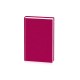 Agenda Domino, 14 x 20.5 cm, 192 pagini Agenda Domino, 14 x 20.5 cm, 192 pagini