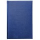 Agenda Ideal, 16 x 23.5 cm, 232 pagini Agenda Ideal, 16 x 23.5 cm, 232 pagini