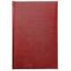 Agenda Ideal, 16 x 23.5 cm, 232 pagini Agenda Ideal, 16 x 23.5 cm, 232 pagini