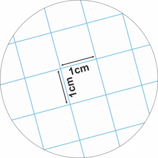 Caiet matematica incepatori a5 24 file ecada