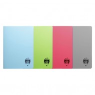 Caiet a4 100 file coperta plastic atinge excelenta dr