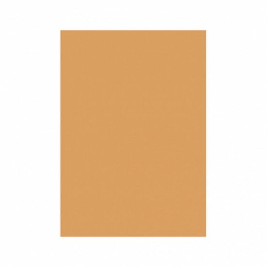 Carton color 160g/mp a4 sepia Carton color 160g/mp a4 sepia