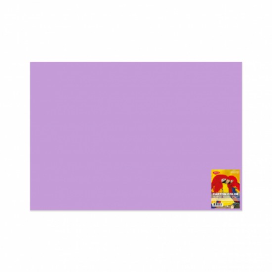 Carton color 70x100cm, 270g/mp, Daco x 10 coli/top-cn271l lila