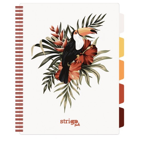 Caiet cu spirala si separatoare, STRIGO PADS Project Book TROPICAL, A4, Matematica, PADS060