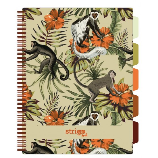 Caiet cu spirala si separatoare, STRIGO PADS Project Book TROPICAL, A4, Matematica, PADS060