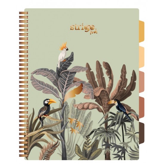 Caiet cu spirala si separatoare, STRIGO PADS Project Book Africa, A4, Matematica, PADS067