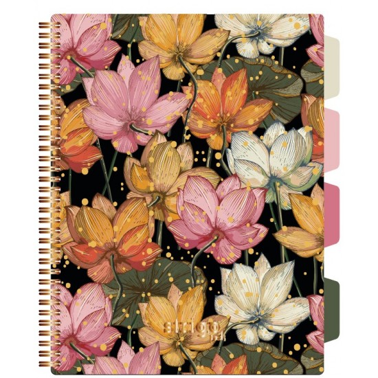 Caiet cu spirala si separatoare, STRIGO PADS Project Book DRAGON, B5, Matematica, PADS072