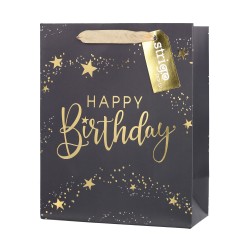 Set 2 pungi hartie 18x23(h)x10cm 210 gsm. PART036