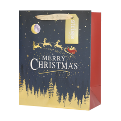 Set 4 pungi hartie 18x23(h)x10cm 210 gsm. PART045 Set 4 pungi hartie 18x23(h)x10cm 210 gsm. PART045