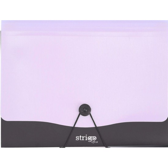 Mapa Strigo PP, A4, 13 compartimente, inchidere cu elastic, clips metalic, mov SF050 Mapa Strigo PP, A4, 13 compartimente, inchidere cu elastic, clips metalic, mov SF050