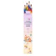 Set 4 creioane Strigo Rainbow multicolor, Seria Capybara, SSC499 Set 4 creioane Strigo Rainbow multicolor, Seria Capybara, SSC499
