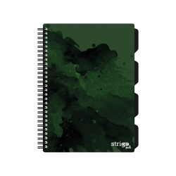 Caiet cu spirala si separatoare, STRIGO PADS Project Book Fusion B5, Matematica, PADS003 Caiet cu spirala si separatoare, STRIGO PADS Project Book Fusion B5, Matematica, PADS003