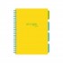 Caiet cu spirala si separatoare, STRIGO PADS Project Book Neon B5, Matematica, PADS014