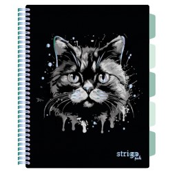 Caiet cu spirala si separatoare, STRIGO PADS Project Book PISICA, A4, Matematica, PADS019