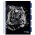 Caiet cu spirala si separatoare, STRIGO PADS Project Book TIGRU, A4, Matematica, PADS020