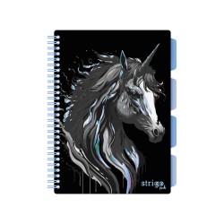 Caiet cu spirala si separatoare, STRIGO PADS Project Book UNICORN, B5, Matematica, PADS022 Caiet cu spirala si separatoare, STRIGO PADS Project Book UNICORN, B5, Matematica, PADS022