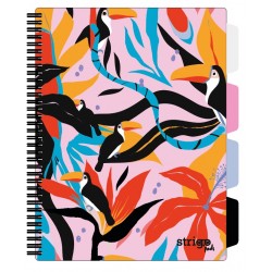 Caiet cu spirala si separatoare, STRIGO PADS Project Book Jungle A4, Matematica, PADS034