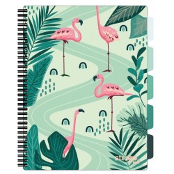Caiet cu spirala si separatoare, STRIGO PADS Project Book Jungle A4, Matematica, PADS036 Caiet cu spirala si separatoare, STRIGO PADS Project Book Jungle A4, Matematica, PADS036