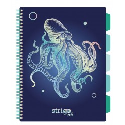 Caiet cu spirala si separatoare, STRIGO PADS Project Book CARACATITA, A4, Matematica, PADS048