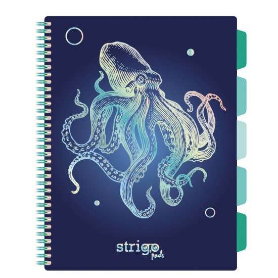 Caiet cu spirala si separatoare, STRIGO PADS Project Book CARACATITA, A4, Matematica, PADS048 Caiet cu spirala si separatoare, STRIGO PADS Project Book CARACATITA, A4, Matematica, PADS048