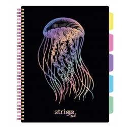 Caiet cu spirala si separatoare, STRIGO PADS Project Book MEDUZA, A4, Matematica, PADS049 Caiet cu spirala si separatoare, STRIGO PADS Project Book MEDUZA, A4, Matematica, PADS049