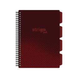 Caiet cu spirala si separatoare, STRIGO PADS Project Book Basic B5, Matematica, PADS059 Caiet cu spirala si separatoare, STRIGO PADS Project Book Basic B5, Matematica, PADS059