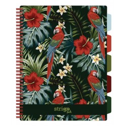 Caiet cu spirala si separatoare, STRIGO PADS Project Book TROPICAL, A4, Matematica, PADS060