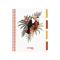 Caiet cu spirala si separatoare, STRIGO PADS Project Book TROPICAL, B5, Matematica, PADS064 Caiet cu spirala si separatoare, STRIGO PADS Project Book TROPICAL, B5, Matematica, PADS064